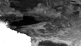Still 1 from this detection