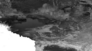 Still 3 from this detection