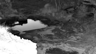 Still 2 from this detection