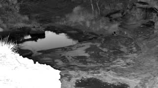 Still 1 from this detection