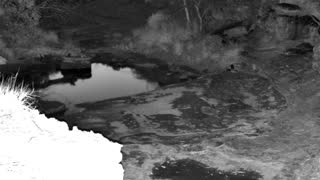Still 2 from this detection