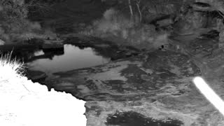 Still 2 from this detection