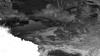 Still 1 from this detection