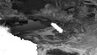 Still 1 from this detection