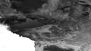 Still 1 from this detection