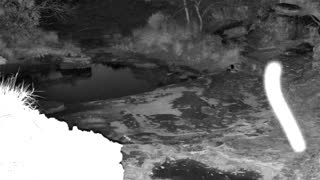 Still 1 from this detection