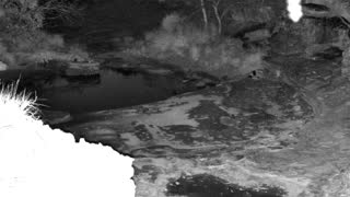 Still 2 from this detection
