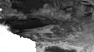 Still 1 from this detection