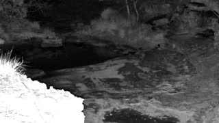 Still 1 from this detection