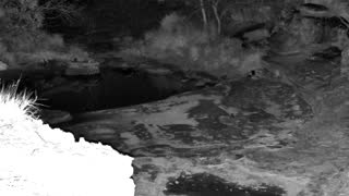 Still 2 from this detection