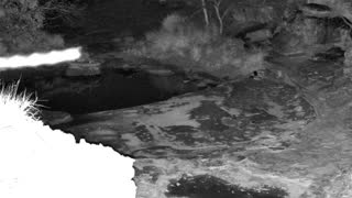 Still 2 from this detection
