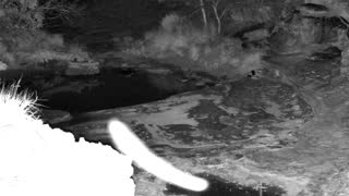Still 2 from this detection