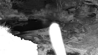 Still 2 from this detection