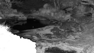 Still 2 from this detection