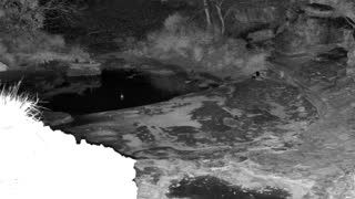 Still 2 from this detection