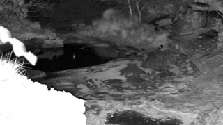 Still 2 from this detection