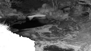Still 2 from this detection