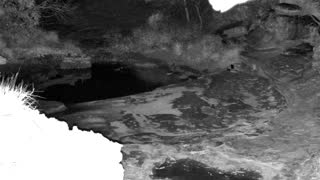 Still 1 from this detection