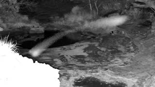 Still 1 from this detection