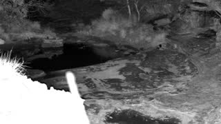 Still 2 from this detection