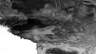 Still 2 from this detection