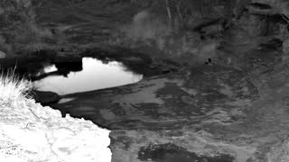 Still 2 from this detection