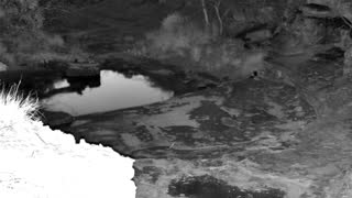 Still 1 from this detection
