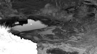 Still 3 from this detection