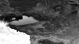 Still 1 from this detection