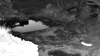 Still 2 from this detection
