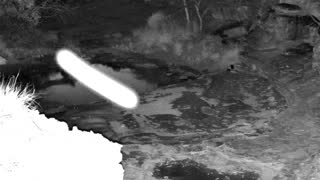 Still 2 from this detection