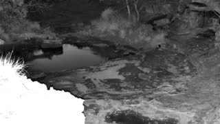 Still 1 from this detection