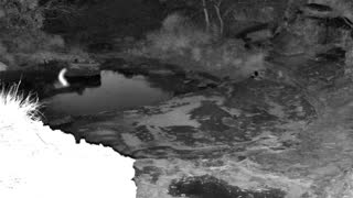 Still 2 from this detection