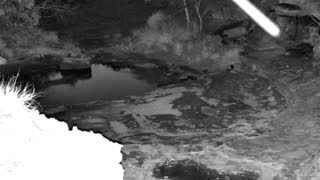 Still 1 from this detection