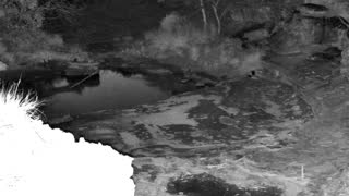 Still 2 from this detection