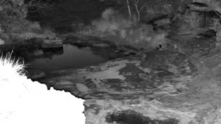 Still 1 from this detection