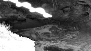 Still 2 from this detection
