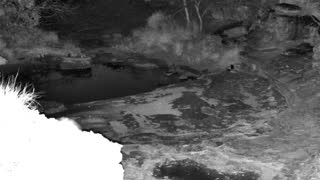 Still 2 from this detection