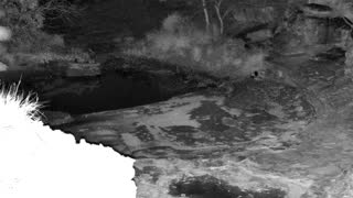 Still 1 from this detection
