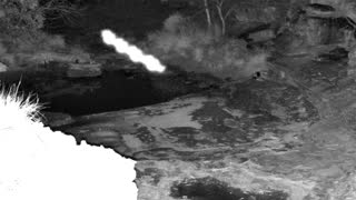 Still 2 from this detection