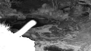 Still 2 from this detection