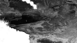 Still 1 from this detection