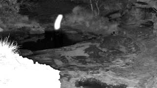 Still 2 from this detection
