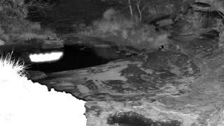 Still 1 from this detection