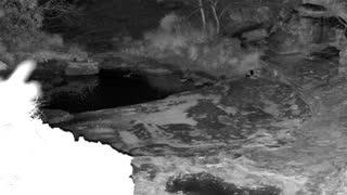 Still 1 from this detection