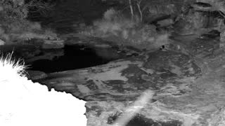 Still 1 from this detection