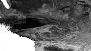 Still 2 from this detection