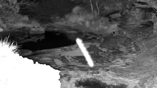 Still 2 from this detection
