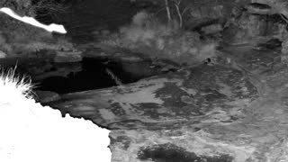 Still 1 from this detection