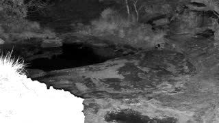 Still 2 from this detection